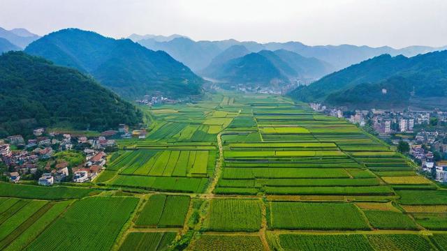 娄烦扶贫工作取得了哪些成效？