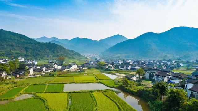 村田的周期怎么看?有何特点与影响因素?