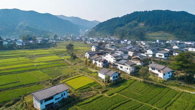 村田的周期怎么看?有何特点与影响因素?