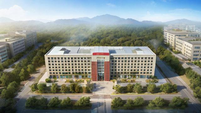 雅安市雨城区中学概览,哪些学校是当地知名学府?